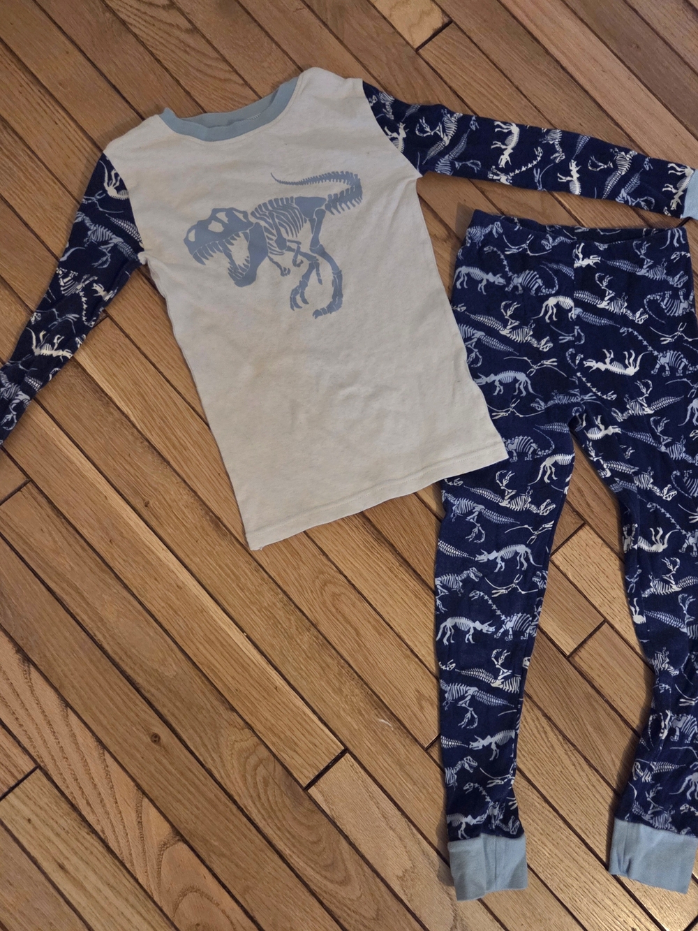 Kirkland Signature Kids Blue Dinosaur Skeleton Two-Piece Pajama Set